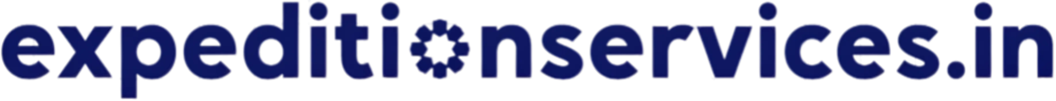 Expedition Services Logo